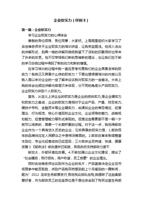 企业软实力（样例5）