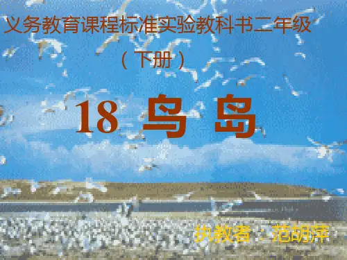 鸟岛ppt课件