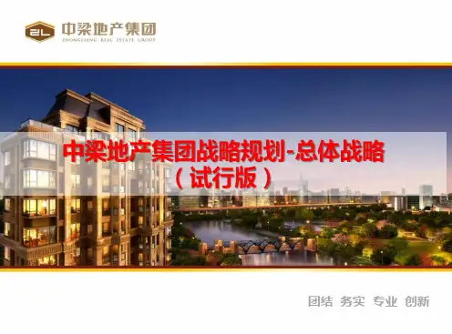 中梁地产集团战略规划报告
