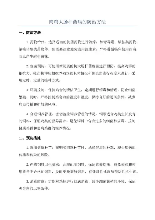 肉鸡大肠杆菌病的防治方法