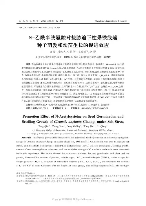 N-乙酰半胱氨酸对盐胁迫下柱果铁线莲种子萌发和幼苗生长的促进效应