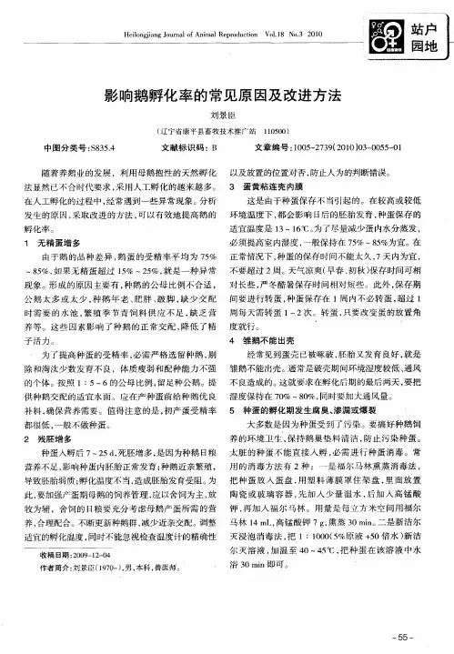 影响鹅孵化率的常见原因及改进方法