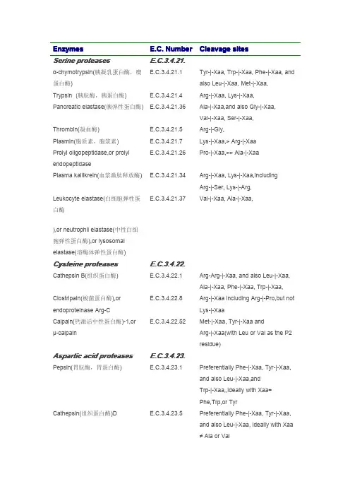 蛋白酶切位点