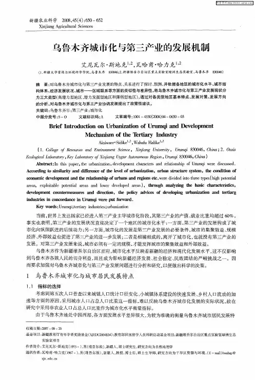 乌鲁木齐城市化与第三产业的发展机制