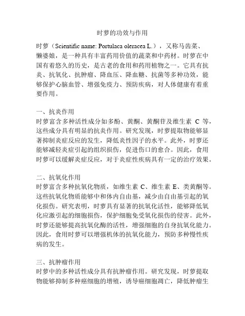 时萝的功效与作用