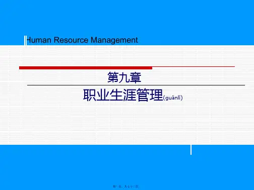 职业生涯管理(PPT)