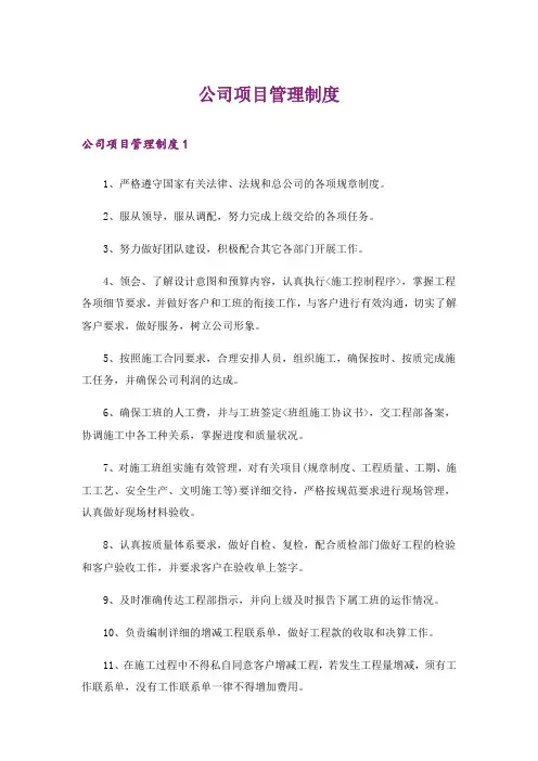 公司项目管理制度_3