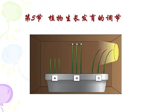55 植物生长发育的调节