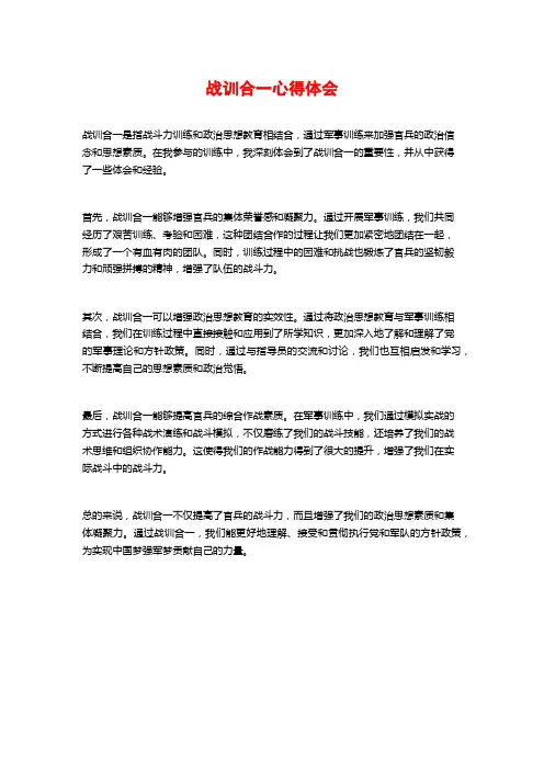 战训合一心得体会