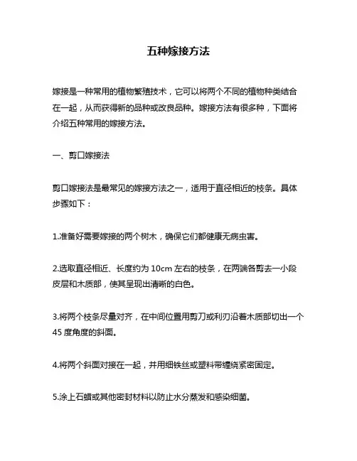 五种嫁接方法