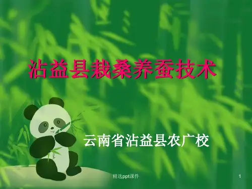沾益县栽桑养蚕技术