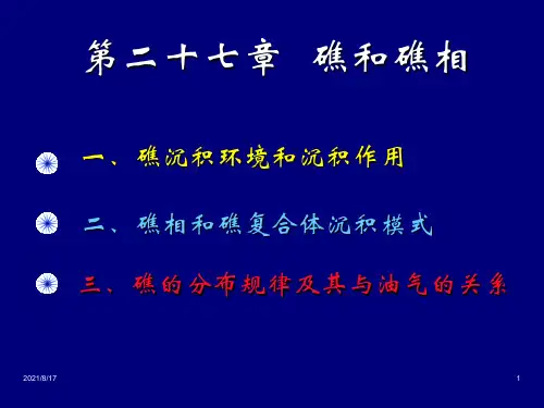 《礁和礁相》PPT课件