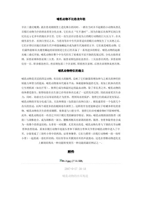 哺乳动物进化史
