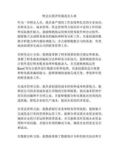 财会自我评价描述怎么填