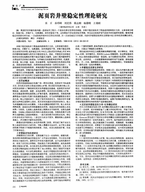 泥页岩井壁稳定性理论研究