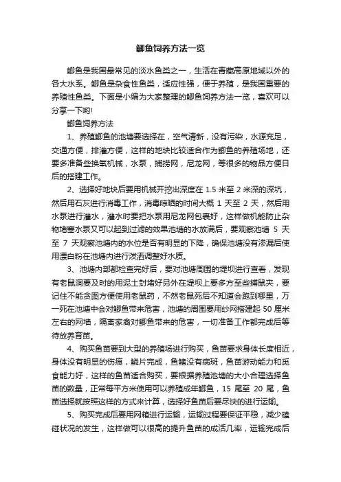 鲫鱼饲养方法一览