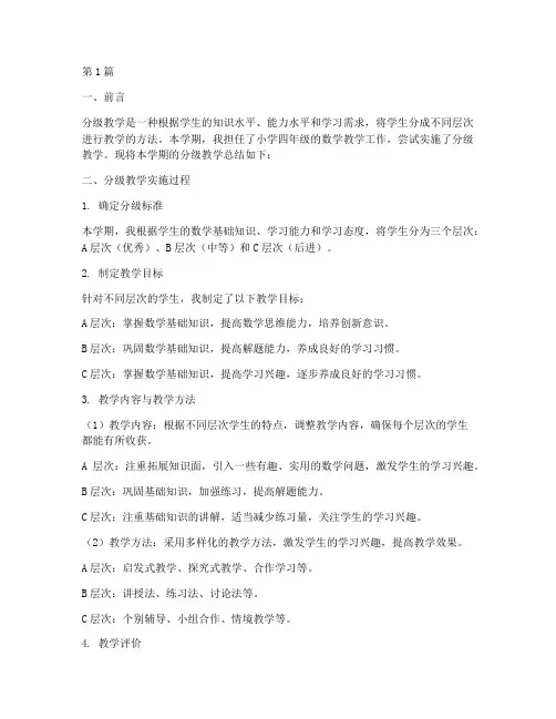 分级教学总结报告范文(3篇)