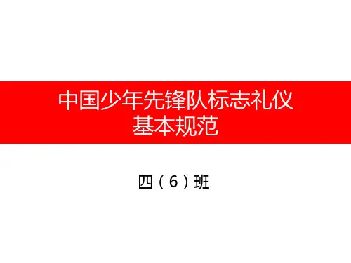 少年先锋队标志礼仪基本规范