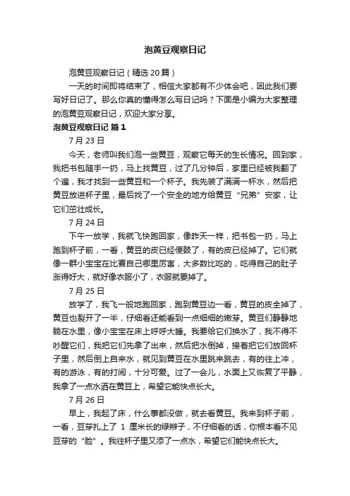 泡黄豆观察日记（精选20篇）