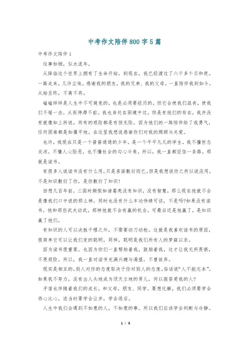 中考作文陪伴800字5篇
