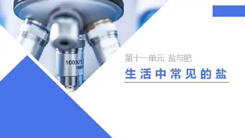 《生活中常见的盐》PPT精品课件