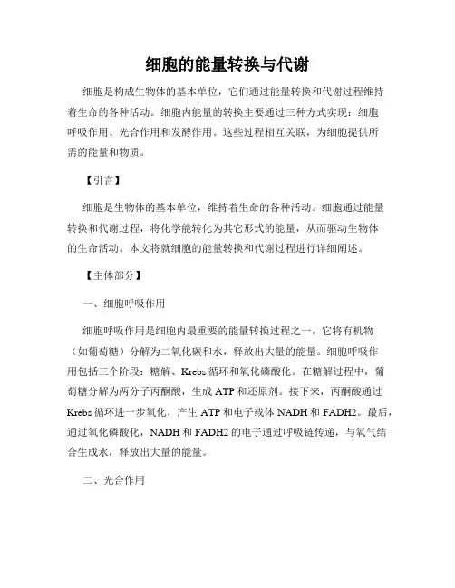 细胞的能量转换与代谢