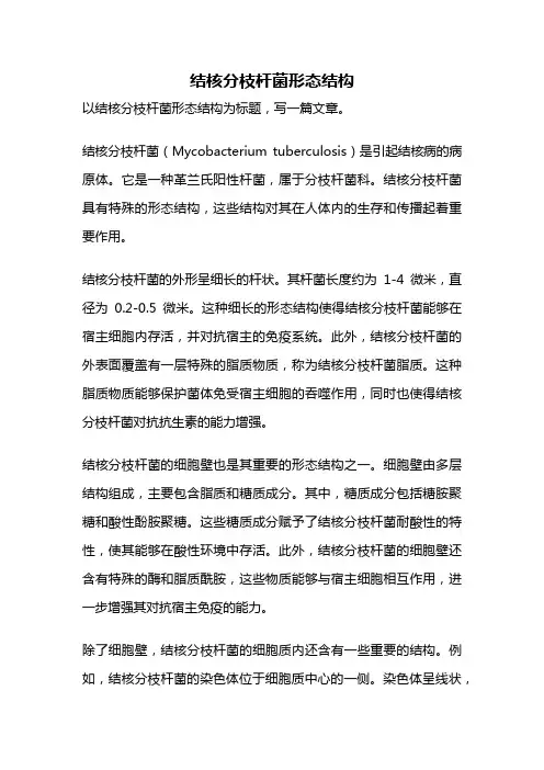 结核分枝杆菌形态结构
