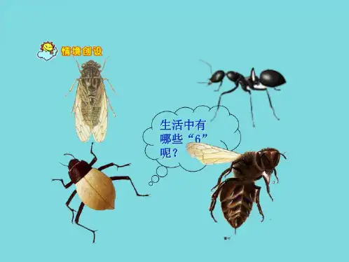 苏教版二年级上册数学《的乘法口诀》公开课课件PPT(共7张PPT)