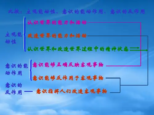 人教高二政治下学期正确地发挥主观能动性