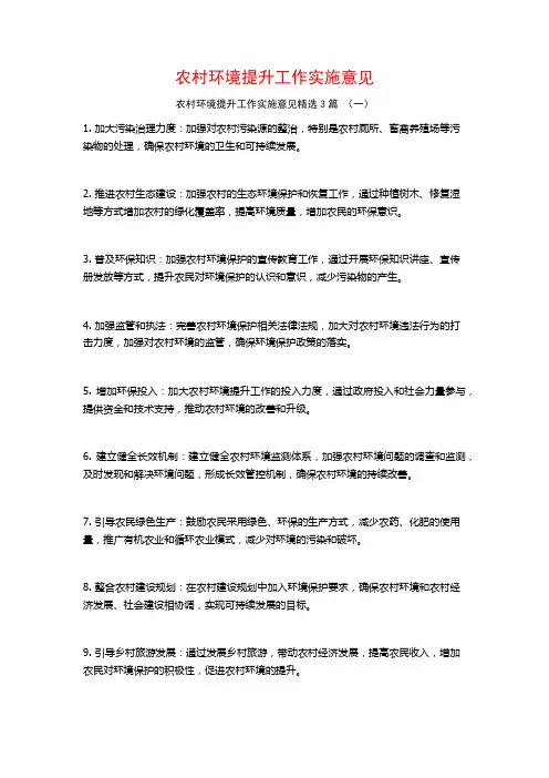 农村环境提升工作实施意见3篇