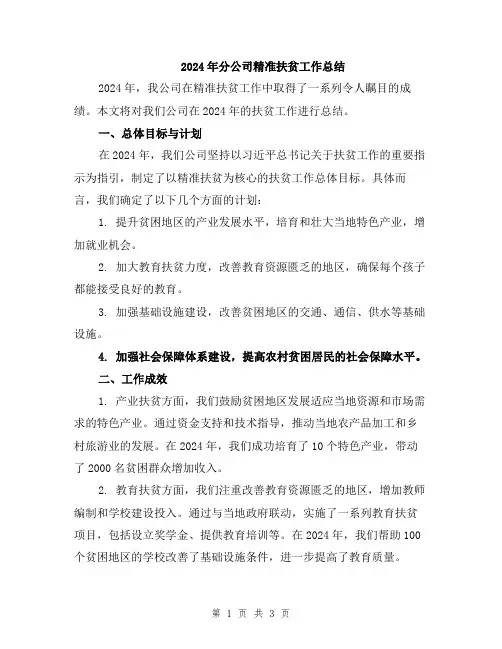 2024年分公司精准扶贫工作总结