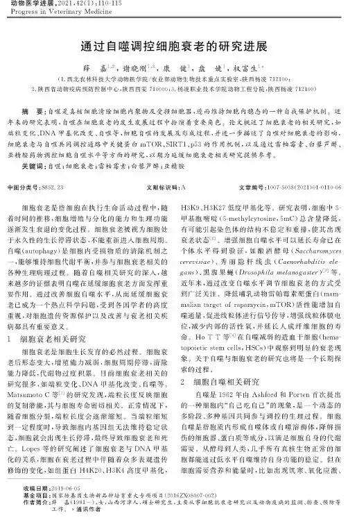 通过自噬调控细胞衰老的研究进展