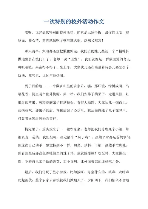 一次特别的校外活动作文