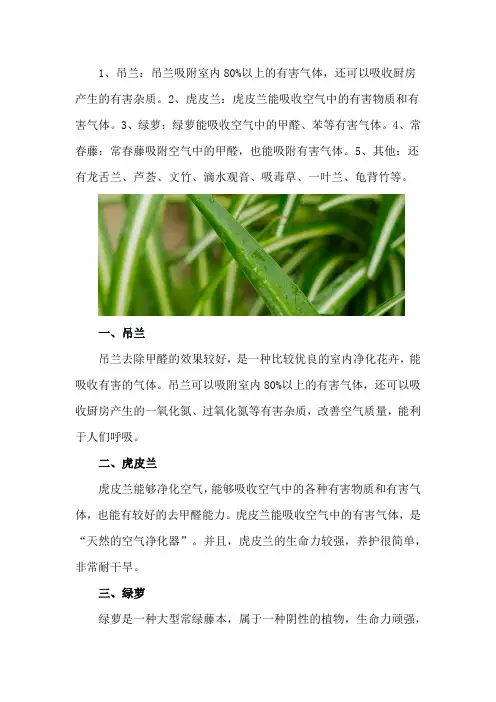 什么花去除甲醛效果最好