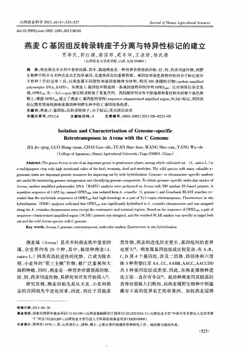 燕麦C基因组反转录转座子分离与特异性标记的建立
