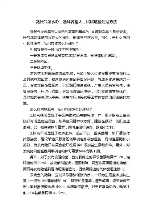 猪胀气怎么办，急坏养猪人，试试这些处理方法