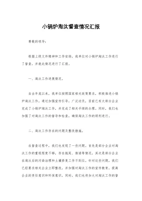 小锅炉淘汰督查情况汇报