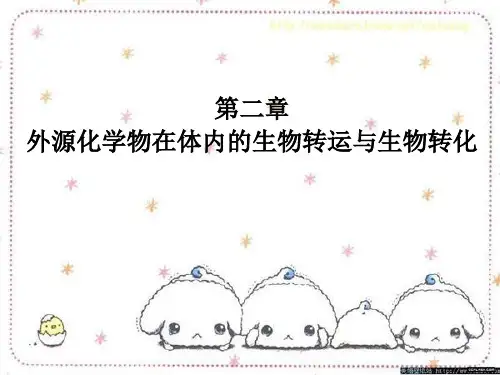 第二章  外源化学物在体内的生物转运与生物转化精品资料