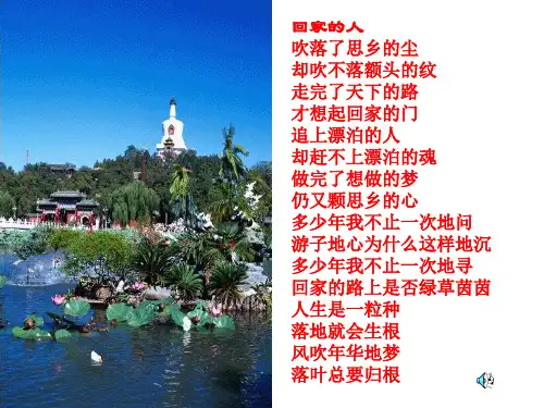 《枣核》优秀教学课件(23张ppt)