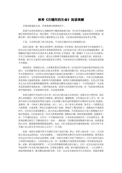 林希《石缝间的生命》阅读理解