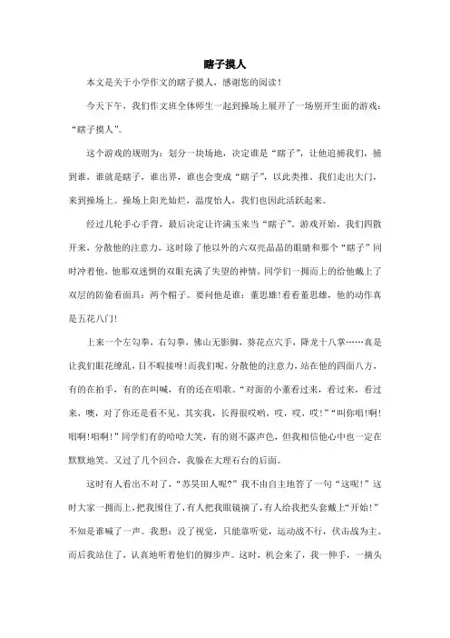 瞎子摸人_小学作文