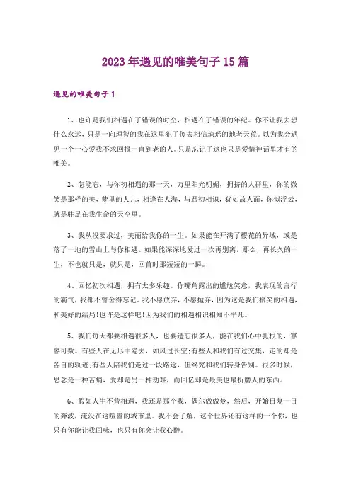 2023年遇见的唯美句子15篇