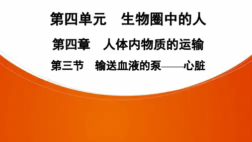七年级生物下册第4单元  第4章  第3节 输送血液的泵——心脏