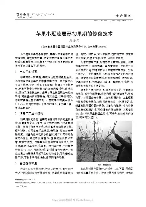 苹果小冠疏层形初果期的修剪技术