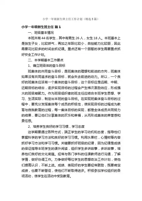 小学一年级新生班主任工作计划（精选5篇）