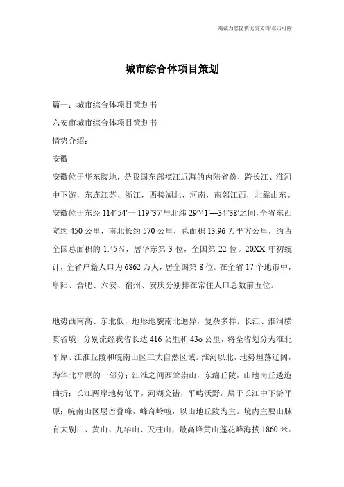 城市综合体项目策划