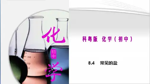 常见的盐(课件)九年级化学下册(科粤版)