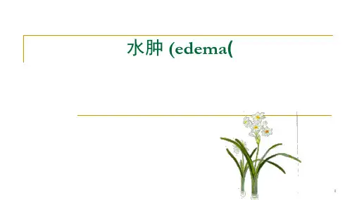 病理生理学优秀课件《水肿》