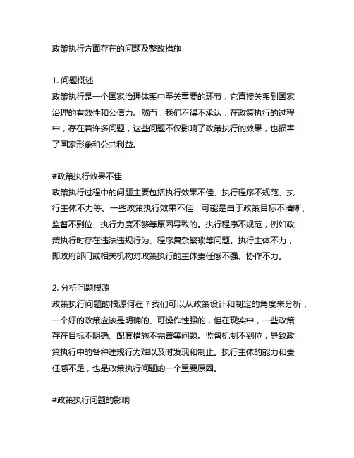 政策执行方面存在的问题及整改措施