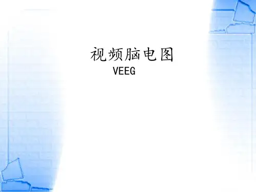 视频脑电图资料讲解